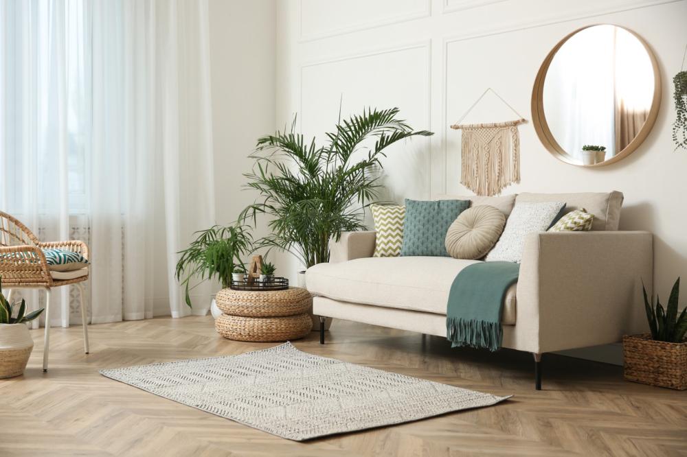 salon moderne